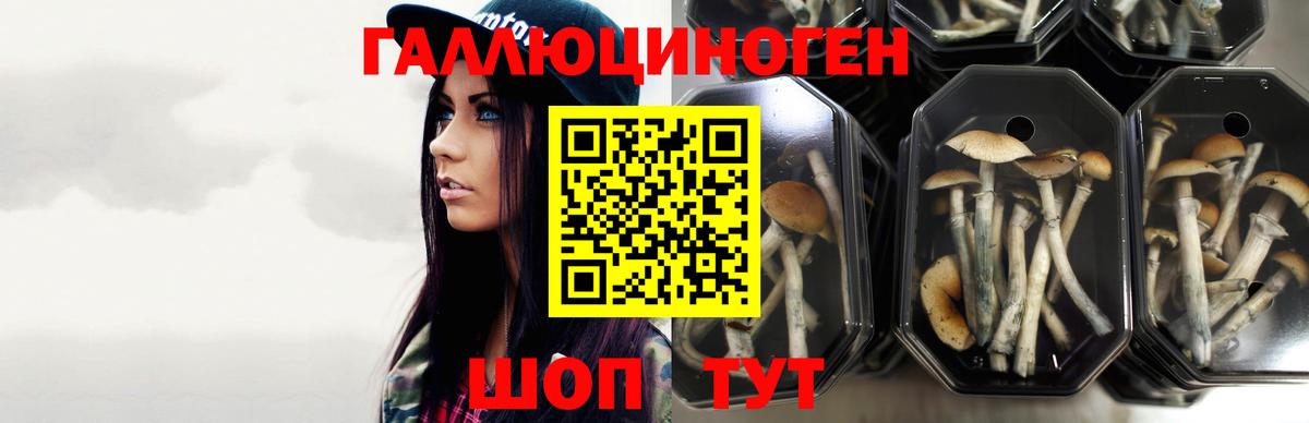 Псилоцибиновые грибы ЛСД Кохма